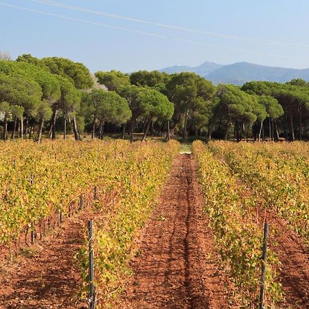 Le Gite Des Cinq Cepages Fréjus Exterior foto